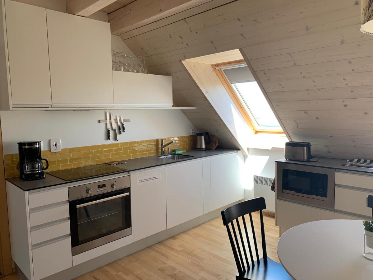 Stylovy Apartman C. 8 U Venuse, Pavlov U Mikulova Buitenkant foto